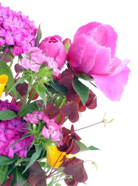 Summer flowers postcard — Stock Photo, Image