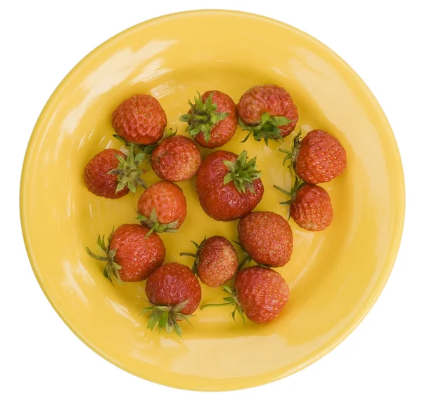 야생 딸기와 접시 — 스톡 사진