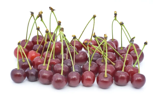 Berries of a cherry with shanks — Stock Photo, Image