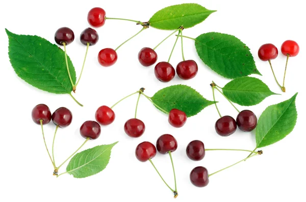 Ripe cherry with leaves set — Stock Photo, Image