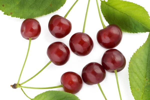 Eight cherries, four leaves — Stock Photo, Image