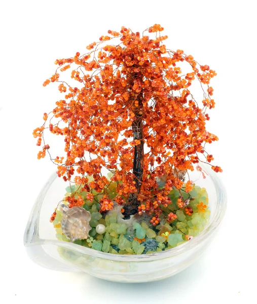 Träd av bonsaj från pärlor — Stockfoto