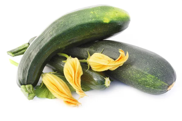 Green vegetable marrows — Stock Photo, Image