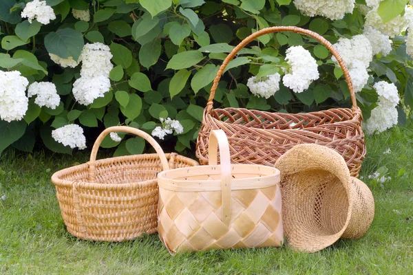 Wattled baskets and Hydrangea bush — Stock Photo, Image
