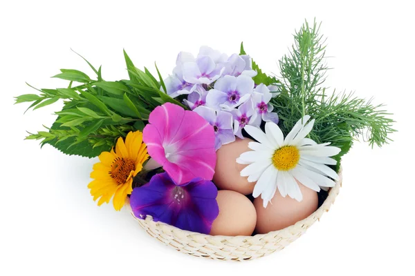 Αυγά και άνθη πασχαλιάς — Φωτογραφία Αρχείου