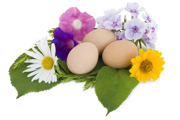 Ovos de Páscoa em um ninho de flores — Fotografia de Stock