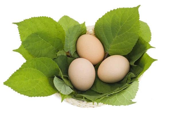 Húsvéti tojások a fészekben, levelek — Stock Fotó