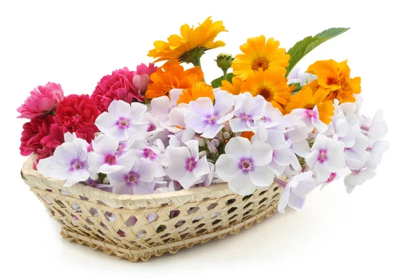 Flores em uma cesta — Fotografia de Stock