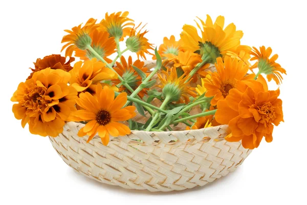 Cesto con fiori d'arancio — Foto Stock
