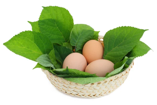 Húsvéti tojás a fészekben — Stock Fotó