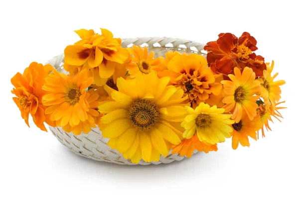 Basket with orange flowers — Stock Photo, Image