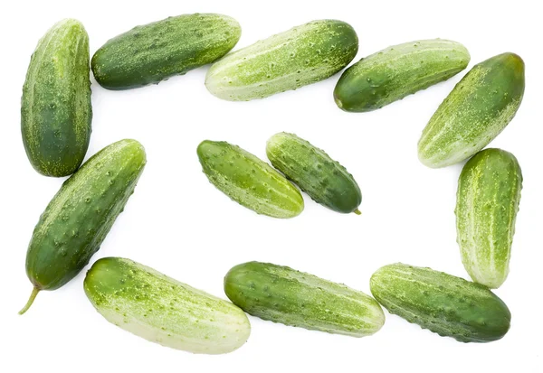 Fresh cucumbers set — Stock Photo, Image
