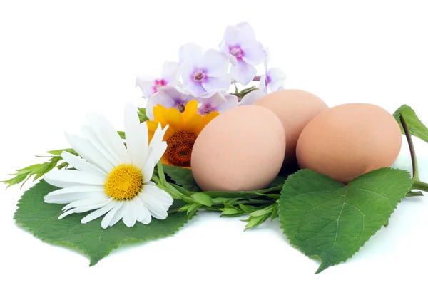 Пасхальные яйца в гнезде из цветов — стоковое фото