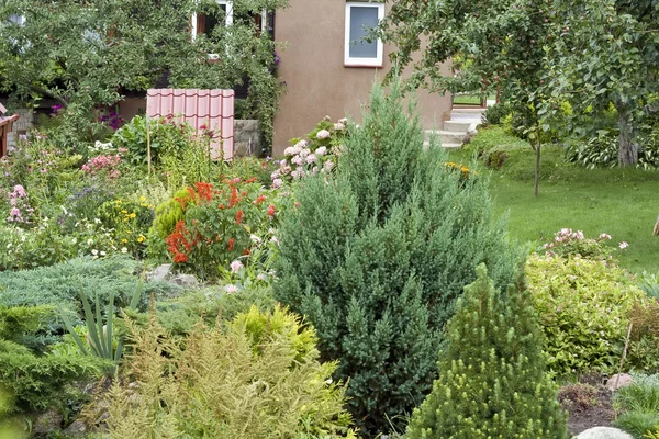 Çiçekler ve çalılar yakınındaki kırsal ev — Stok fotoğraf