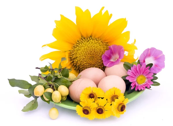 Ostereier und Blumen — Stockfoto