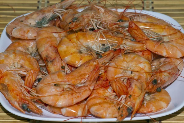 Cooked shrimp — Stock Photo, Image