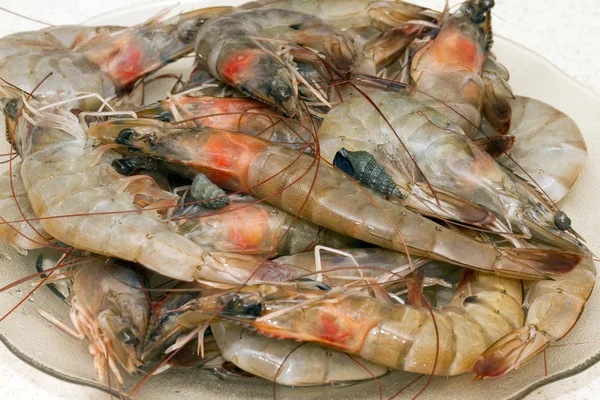Raw Shrimps — Stock Photo, Image