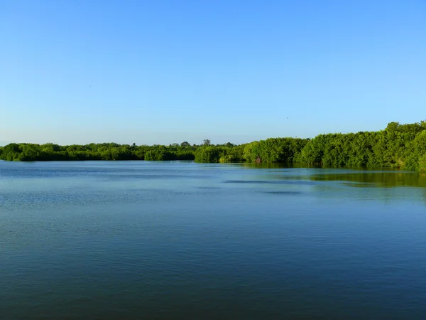 stock image Lake