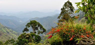 Sri Lanka'nın Dağları