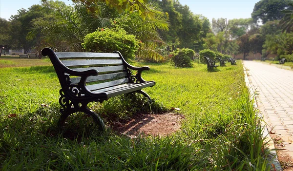 공원 벤치 아침 — 스톡 사진