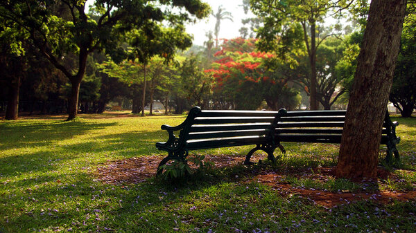 A lone park bench in a botanical garden park