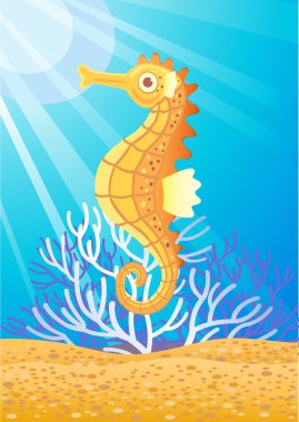 Sea Horse clipart