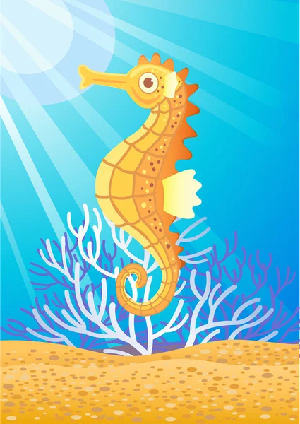Cheval de mer — Image vectorielle