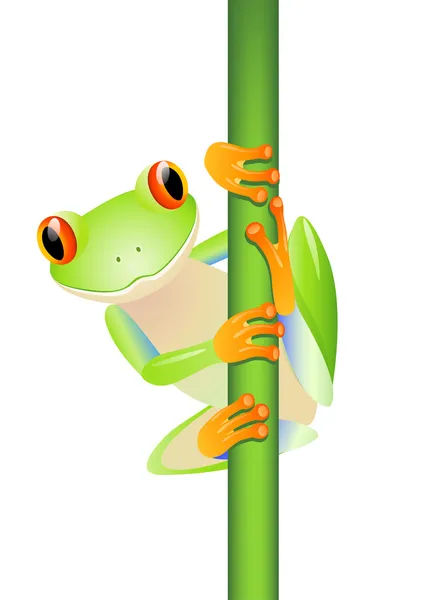 一只可爱的青蛙 — 图库矢量图片