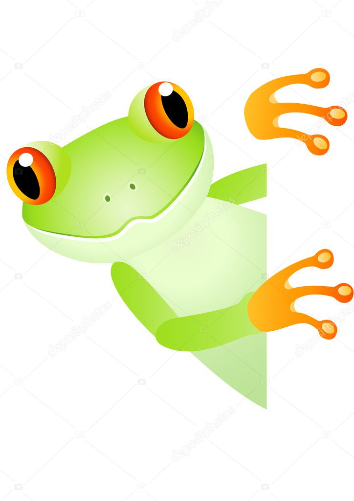 Cute frog and blank space