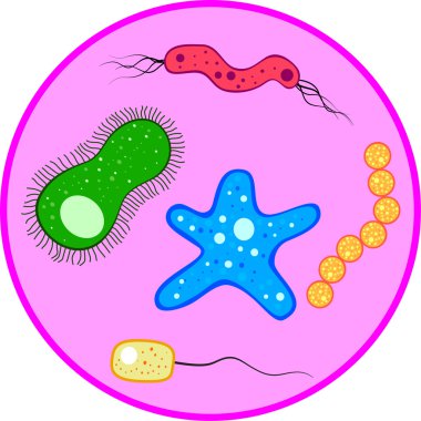 Microbes clipart