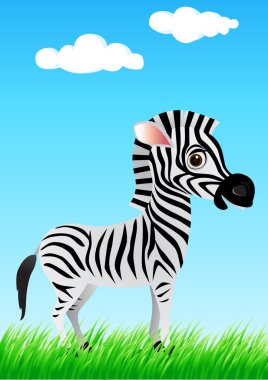 Zebra karikatür