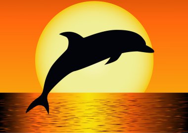 Dolphin silhouette clipart