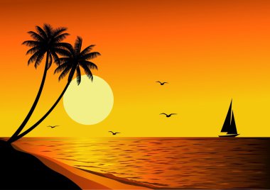 Tropical beach sunset clipart