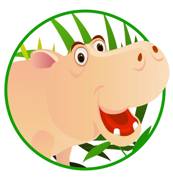 Lindo hipopótamo — Vector de stock