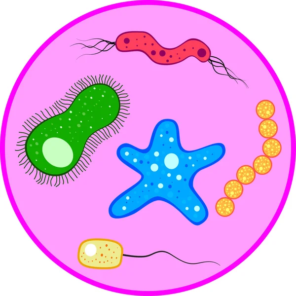 Microbes — Stock Vector