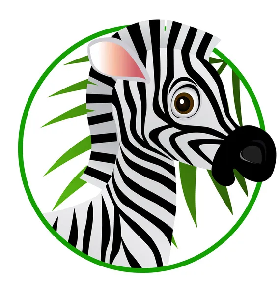 Zebra kreslený — Stockový vektor