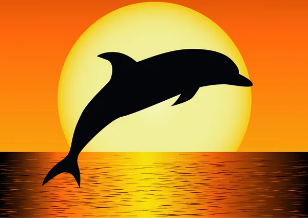 Dolphin siluett — Stock vektor