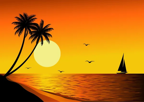 熱帯のビーチの夕日 — ストックベクタ
