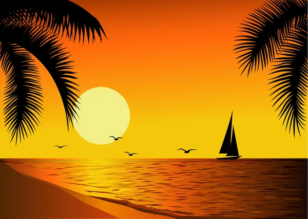 Tropical beach sunset — Stock Vector