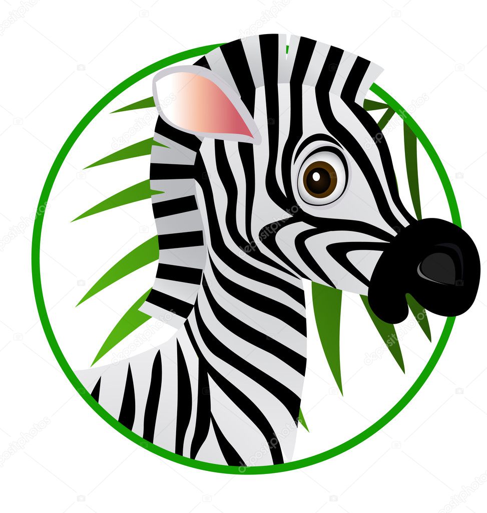 Zebra cartoon