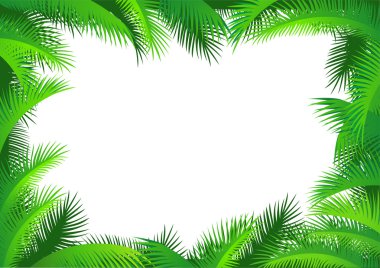 Palm leaf frame clipart