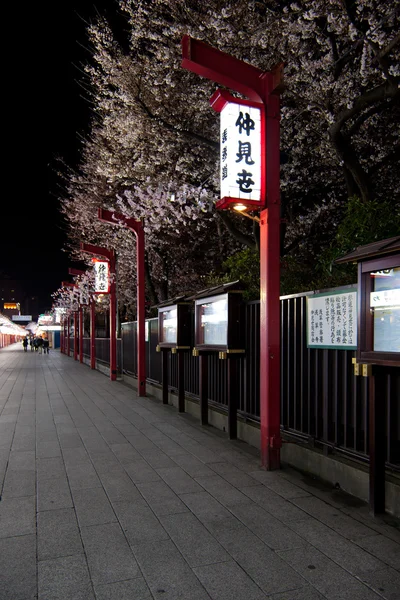 Třešňový květ noční - Tokio, Japonsko — Stock fotografie