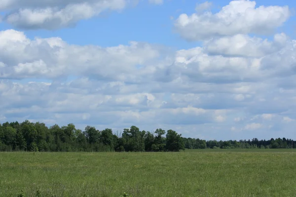 stock image Russian nature.