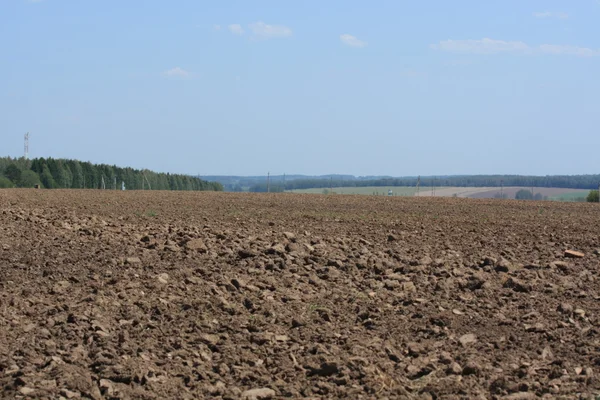 Russian field. — Stock Photo, Image