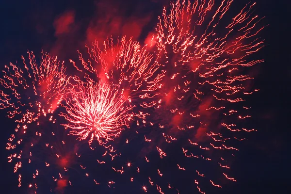 Festival firework — Stock Photo, Image