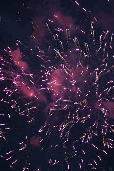 Festival firework — Stock Photo, Image