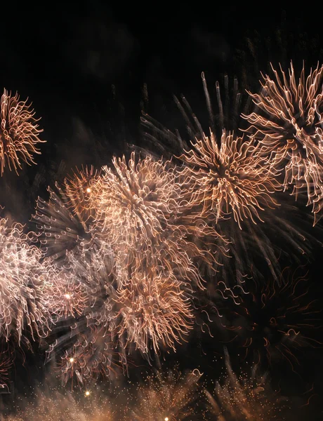 Fesztivál tűzijáték — Stock Fotó
