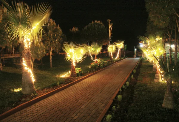 stock image Road to sea beach at night