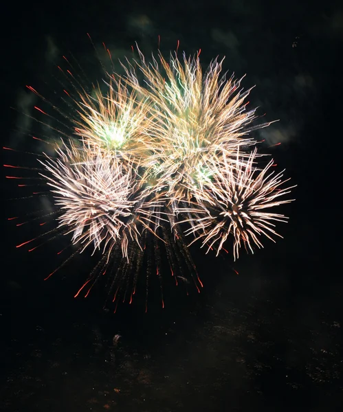 Fesztivál tűzijáték — Stock Fotó