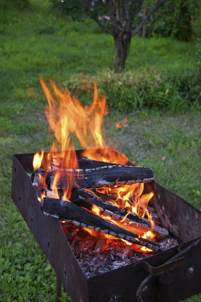 stock image Campfire